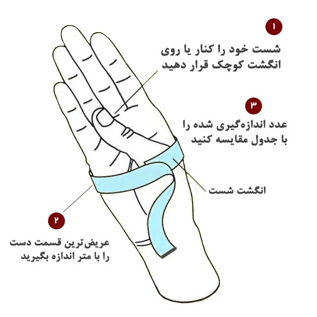 انگشتر و حلقه